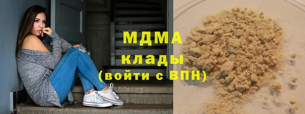 хмурый Алексин