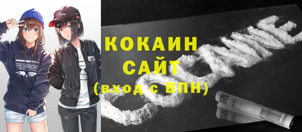 МДПВ Алзамай