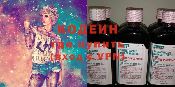 хмурый Алексин