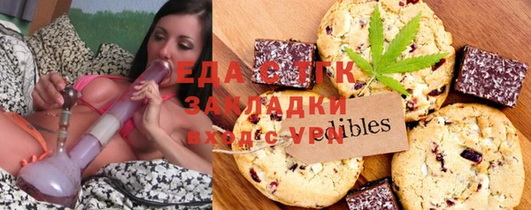 хмурый Алексин