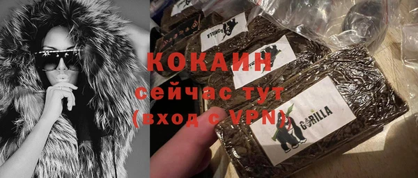 хмурый Алексин
