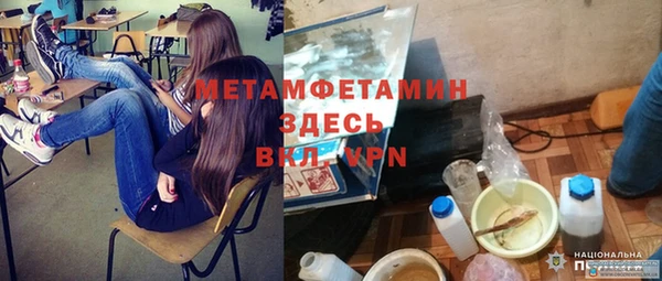 хмурый Алексин
