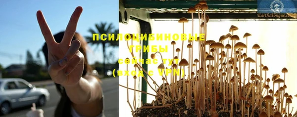 хмурый Алексин