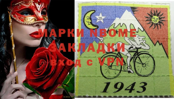 хмурый Алексин