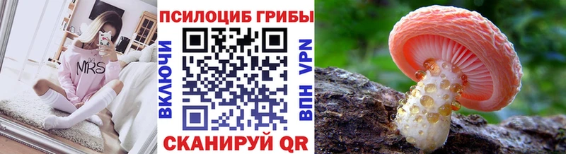 Галлюциногенные грибы Cubensis  Сосновка 
